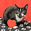 Thumbnail photo of Ghostface #2