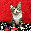 Thumbnail photo of Billy #1
