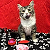 Thumbnail photo of Billy #2