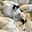 Thumbnail photo of Emmie #2