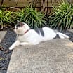 Thumbnail photo of Emmie #4