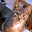 Thumbnail photo of Evan #2