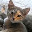 Thumbnail photo of Eva #1