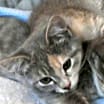 Thumbnail photo of Eva #3
