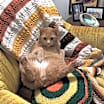 Thumbnail photo of Wren #4