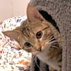 Thumbnail photo of Sassy #2