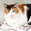 Thumbnail photo of Mable #1