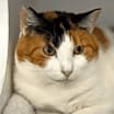 Thumbnail photo of Mable #2