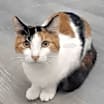 Thumbnail photo of Mable #3