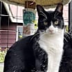 Thumbnail photo of Oscar #1