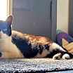 Thumbnail photo of Oscar #3