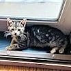 Thumbnail photo of Sky #2