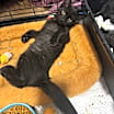 Thumbnail photo of Chappell Roan #1