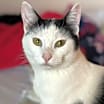 Thumbnail photo of Otis #1