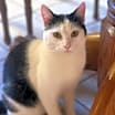 Thumbnail photo of Otis #3