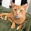 Thumbnail photo of Rupaw #1