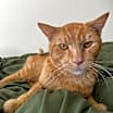 Thumbnail photo of Rupaw #2