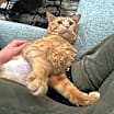 Thumbnail photo of Rupaw #4