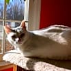 Thumbnail photo of Lucky #1