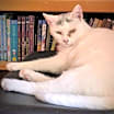 Thumbnail photo of Lucky #3