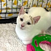 Thumbnail photo of Jill #1