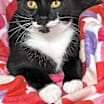 Thumbnail photo of Mila #1