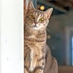 Thumbnail photo of Gigi #1