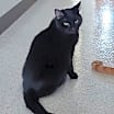 Thumbnail photo of Rhoda #2