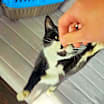 Thumbnail photo of Celeste #4