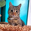Thumbnail photo of Kipo #1