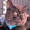 Thumbnail photo of Piotr #1