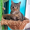 Thumbnail photo of Kipo #3