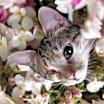 Thumbnail photo of Harmony #2