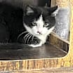 Thumbnail photo of Karma #1