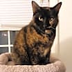 Thumbnail photo of Tia #1