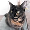 Thumbnail photo of Tia #2