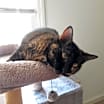 Thumbnail photo of Tia #3