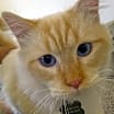 Thumbnail photo of Makomo #1