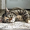 Thumbnail photo of Zoey #4