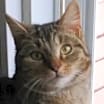 Thumbnail photo of Mickey #1