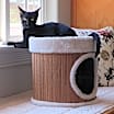 Thumbnail photo of Elvis #2