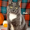 Thumbnail photo of Faith #2