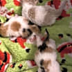 Thumbnail photo of Frieze #4