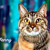Thumbnail photo of Fannie #1