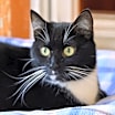 Thumbnail photo of Frannie #1