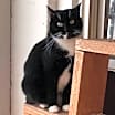 Thumbnail photo of Frannie #2
