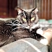 Thumbnail photo of Frannie #4