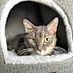 Thumbnail photo of Mere #1