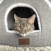 Thumbnail photo of Mere #2