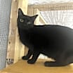Thumbnail photo of Winnie #1